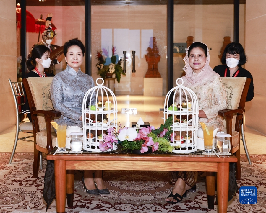 彭丽媛会见印度尼西亚总统夫人伊莉亚娜 国家品牌网