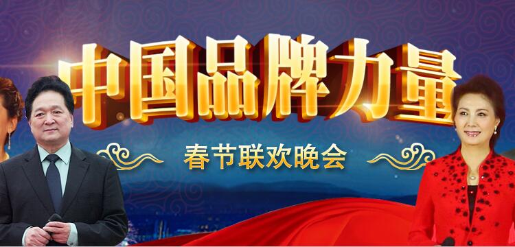 2016&ldquo;中国品牌力量&rdquo;春节联欢晚会