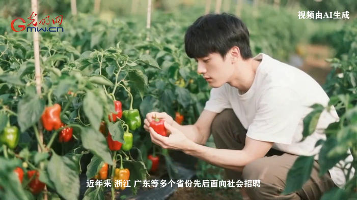 “乡村CEO”，青年人才投身农业反哺桑梓的新舞台 