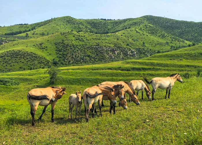 中国新增两个世界生物圈保护区 