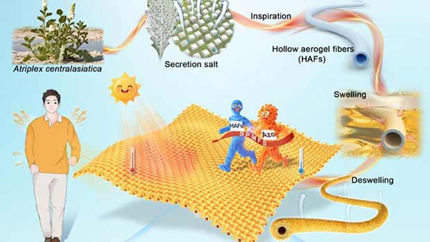 我国科学家研发仿生光热织物，既可秒速升温又能稳定耐用