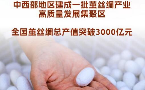 新华社权威快报丨7部门发文开展茧丝绸产业&ldquo;东绸西固&rdquo;工作 
