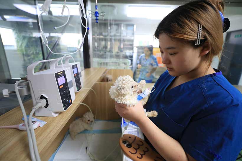 &ldquo;吸睛&rdquo;又&ldquo;吸金&rdquo; 千亿宠物经济赛道火热