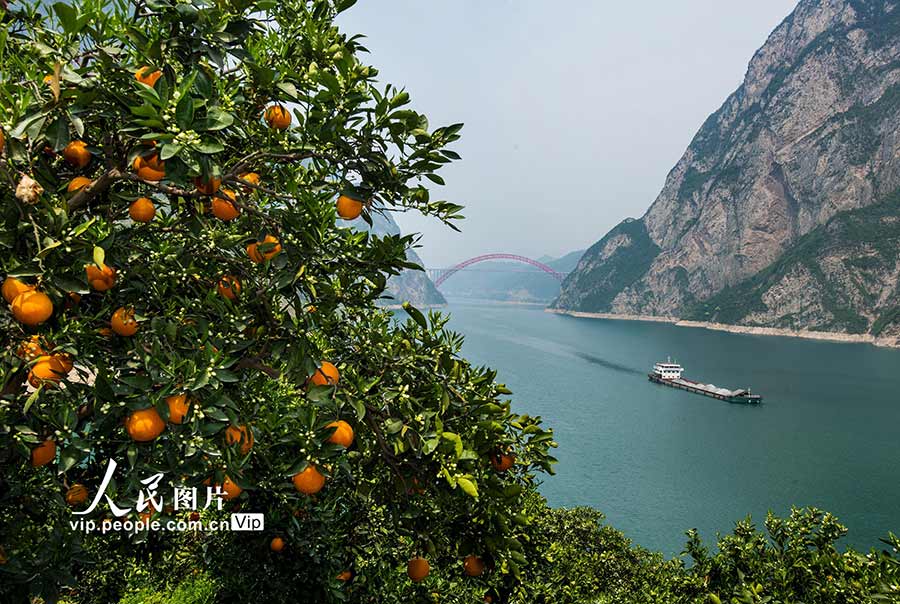 中国农产品&ldquo;圈粉&rdquo;世界（大数据观察） 