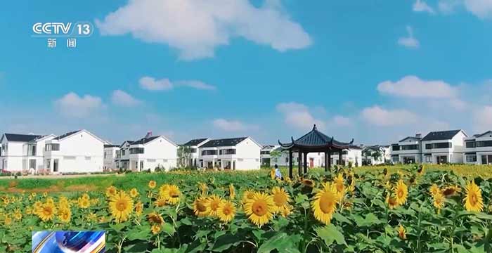 推进乡村全面振兴 今年我国将部署这些工作