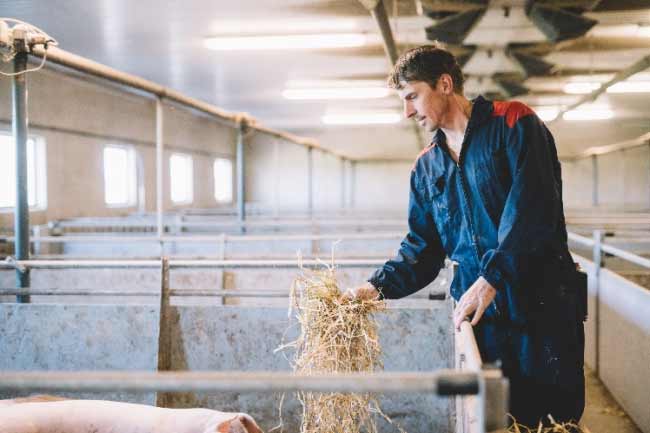芬兰无抗生素肉品专家Atria阿特睿教你挑肉小妙招：买肉不能只看肉质，还要看动物福利标准