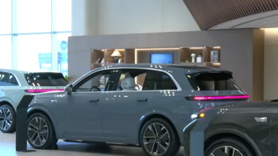 &ldquo;新国补&rdquo;落地 车市迎来开年第一考