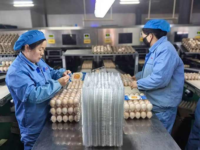 皮蛋去铅 咸蛋减盐 神丹蛋品进驻沃尔玛等万家商超