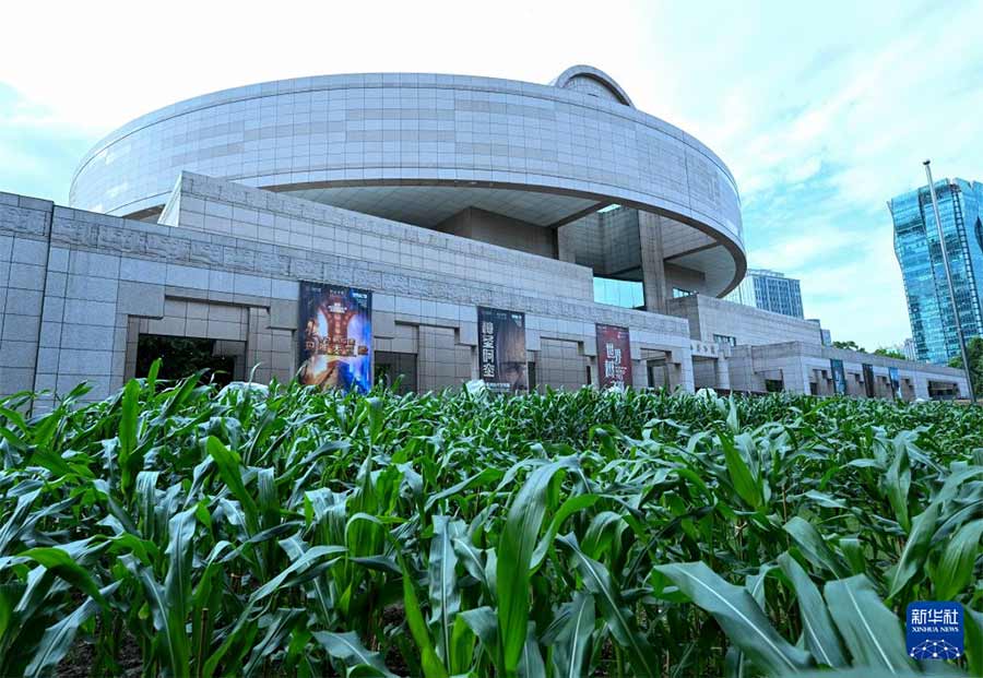 &ldquo;世界树之巅：美洲古代文明大展&rdquo;在上海博物馆开幕 