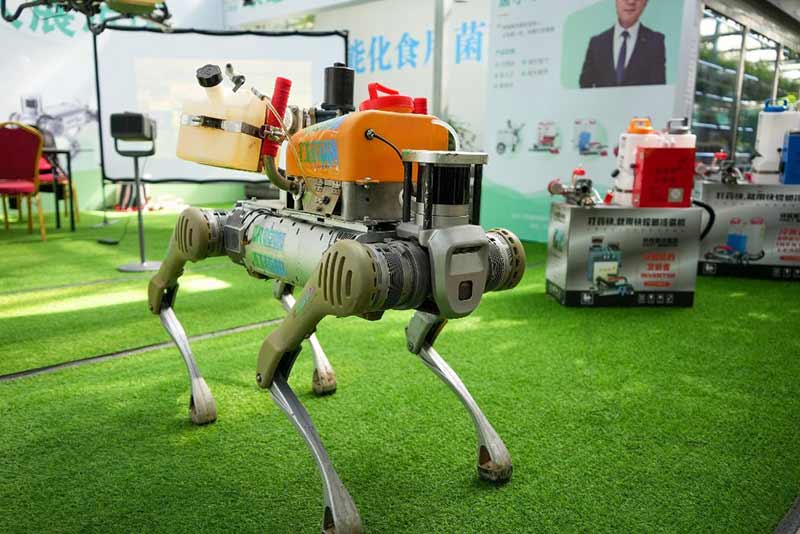 &ldquo;AI+农业&rdquo;：如何从&ldquo;云&rdquo;上落到&ldquo;地&rdquo;里