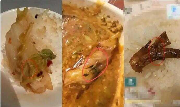 谎称“菜里有虫”喊赔钱,两名恶意索赔嫌疑人落网