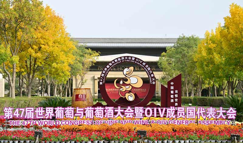 百年盛会首赴亚洲,为什么是宁夏?