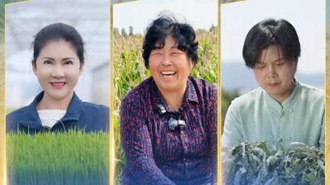 殷玉珍等三位中国女性获得联合国奖项