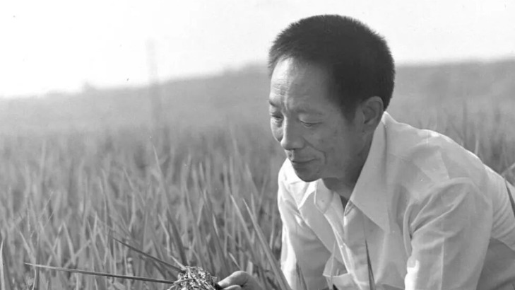 今天，我们格外怀念他