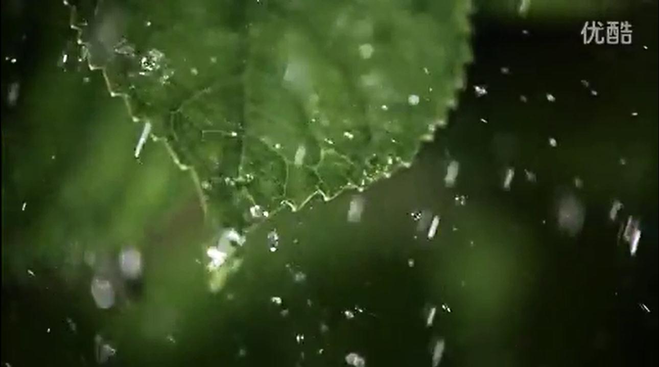 思埠集团企业宣传片