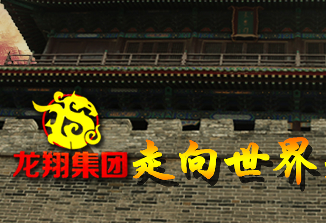 河北龙翔 