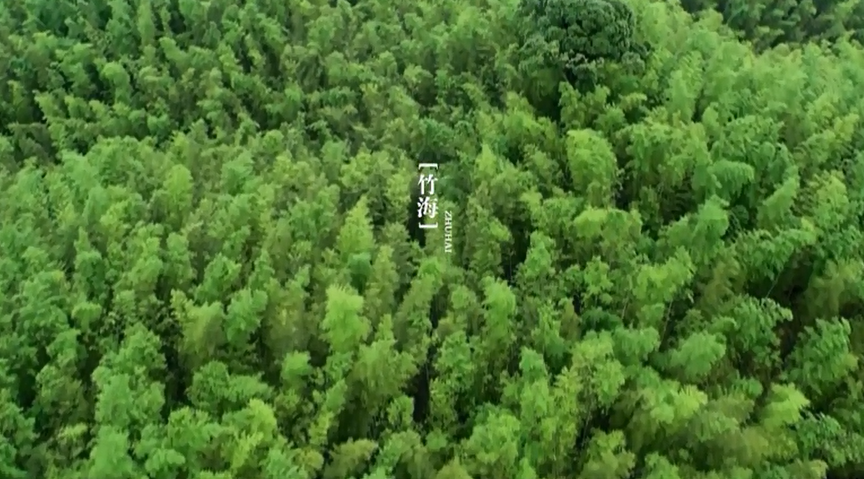 赤水旅游形象宣传片